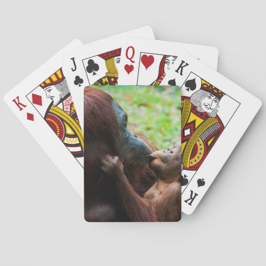 Orang-oetan moeder en baby pokerkaarten (Achterkant)