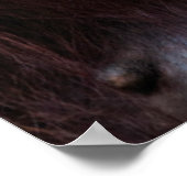 Orang-oetan moeder en baby poster (Hoek)