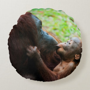 Orang-oetan moeder en baby rond kussen