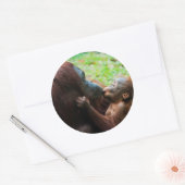 Orang-oetan moeder en baby ronde sticker (Envelop)
