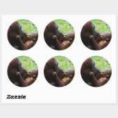 Orang-oetan moeder en baby ronde sticker (Vel)