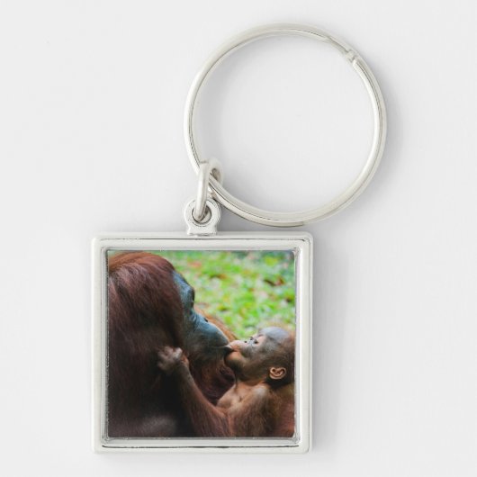 Orang-oetan moeder en baby sleutelhanger (Voorkant)