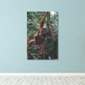 Orang-oetan moeder met Baby 3 Canvas Afdruk (Insitu (Houten vloer))