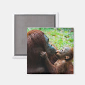 Orang-oetan moeder met baby magneet (Voorkant / Achterkant)
