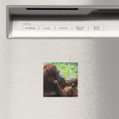 Orang-oetan moeder met baby magneet (Insitu (Vaatwasser))
