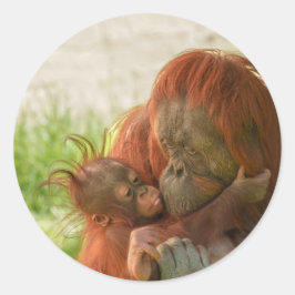 Orang-oetan moeder tedere momenten ronde sticker