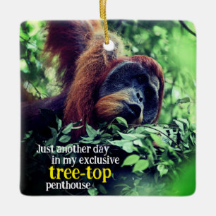 Orang-oetan ontspannen in de boom keramisch ornament