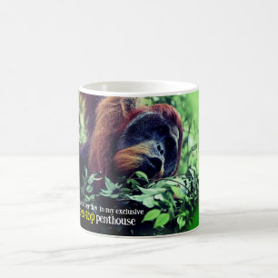 Orang-oetan ontspannen in de boom koffiemok