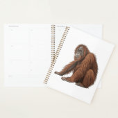 Orang-oetan Planner (Display)