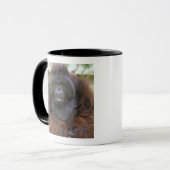 Orang-oetan Pongo Pygmaeus Mok (Voorkant links)