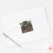 Orang-oetan Pongo Pygmaeus Vierkante Sticker (Envelop)