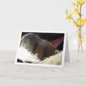 Orang-oetan Portret Kaart (Gele Bloem)