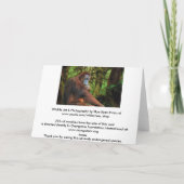 Orang-oetan & regenwoud Verjaardag Kaart (Achterkant)