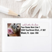 Orang-oetan Schattigee kus Etiket (Insitu)