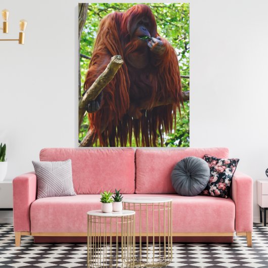 Orang-oetan - Vol Canvas Afdruk (Insitu (Woonkamer))