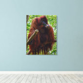 Orang-oetan - Vol Canvas Afdruk (Insitu (Houten vloer))