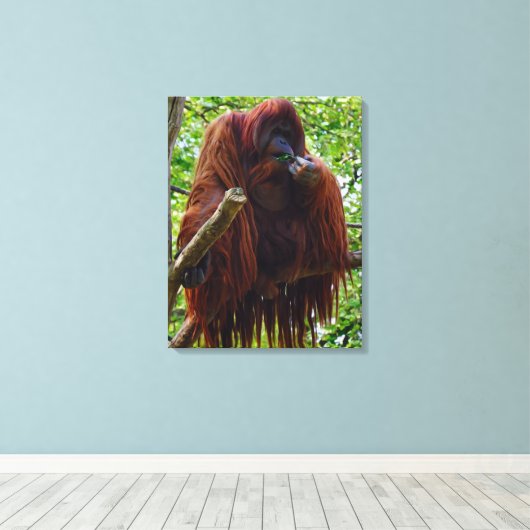 Orang-oetan - Vol Canvas Afdruk (Insitu (Houten vloer))