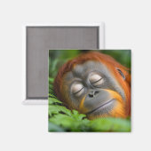 Orang-oetan Wilde Dier Rustend Portret Magneet (Voorkant / Achterkant)