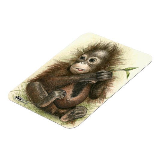 Orang-oetanbaby met bladeren magneet (Linkerzijde)