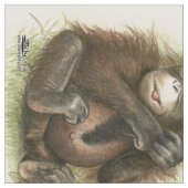 Orang-oetanbaby met bladeren stof (Close Up)