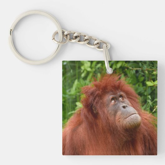 Orang-oetans bedachtzame blik sleutelhanger (voorkant)