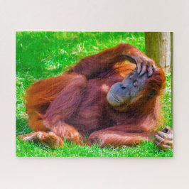 Orang-oetans. Legpuzzel