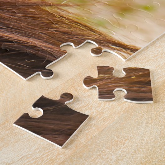 Orang-oetans. Legpuzzel (Zijkant)