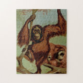orang-oetans op een boom legpuzzel (Verticaal)