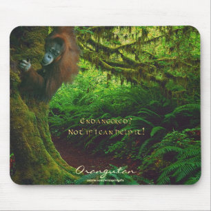 Orang-oetans & regenwoud Wildlife-support Mousepad Muismat