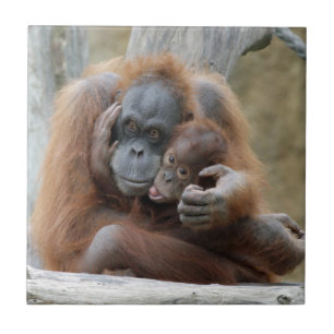 Orang Utan 001 Tegeltje