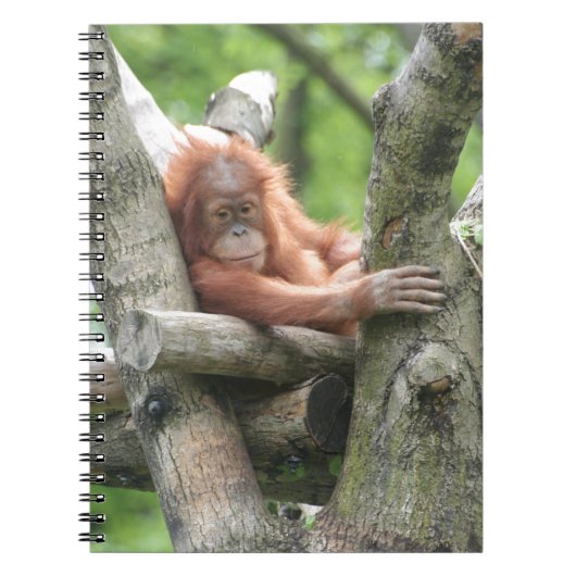 Orang-Utan Notitieboek (Voorkant)