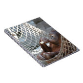 Orang-Utan Notitieboek (Rechterzijde)