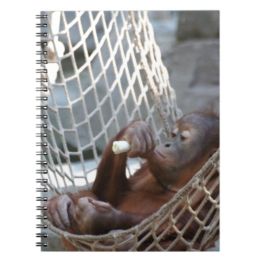 Orang-Utan Notitieboek (Voorkant)