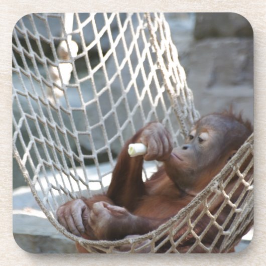 Orang-Utan Onderzetter (Voorkant)