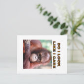 orangatang briefkaart (Staand voorkant)