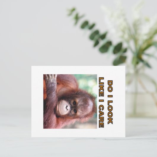 orangatang briefkaart (Staand voorkant)