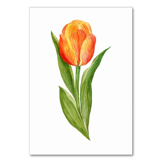 Orange and Beige Tulip Wedding Table Numbers Kaart (Achterkant)