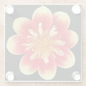 Orange and Yellow Collarette Dahlia Floral Glazen Onderzetter (Achterkant)