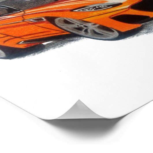 Orange Beauty Poster (Hoek)