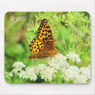 Orange & Black Butterfly on White Flower Muismat