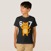 Orange Cat 67 Meme Six Seven Funny Cat Lover  T-shirt (Voorkant volledig)