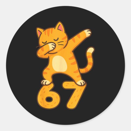 Orange Cat Dabbing Funny 67 Six Seven Meme  Ronde Sticker (Voorkant)