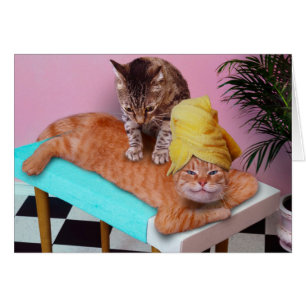 Orange cat enjoying a massage a cat