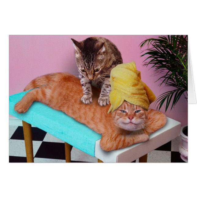 Orange cat enjoying a massage a cat (Voorkant Horizontaal)