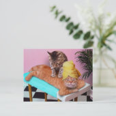 Orange cat enjoying a massage a cat briefkaart (Staand voorkant)