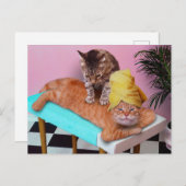 Orange cat enjoying a massage a cat briefkaart (Voorkant / Achterkant)