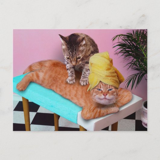 Orange cat enjoying a massage a cat briefkaart (Voorkant)