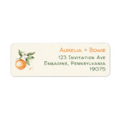 Orange Citrus Little Cutie Baby Return Address Etiket (Voorkant)