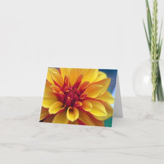 Orange Dahlia Greeting Card Kaart (Voorkant)