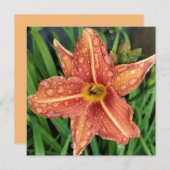 Orange Day Lily Greetings Card Notitiekaartje (Voorkant / Achterkant)